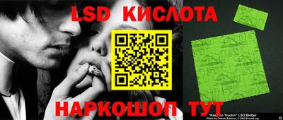 гашик Дубна