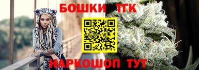 гашик Дубна